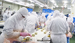 製造